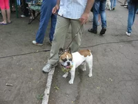 IMG_6360 (Large).JPG