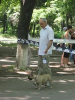 IMG_6380 (Large).webp