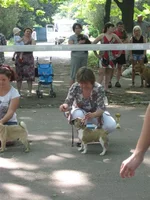 IMG_6399 (Large).webp