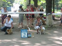 IMG_6396 (Large).JPG