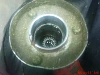 DSC01917.webp