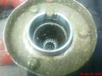 DSC01920.webp