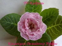 070620132727.webp