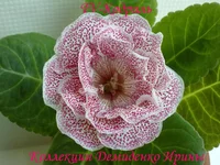 070620132729.webp