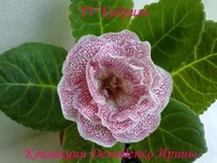 070620132731.webp