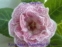 070620132732.webp