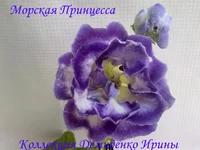 070620132733.webp