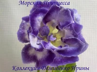 070620132736.webp