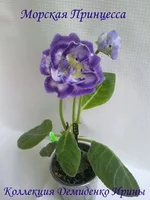 070620132741.webp