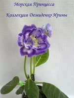 070620132742.webp