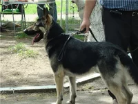 8e36e4041630.webp