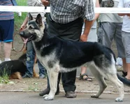 46a6dc472280.webp