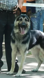 a82c5b5056ac.webp