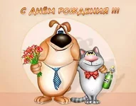 3815090.webp