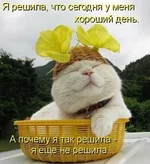 x_d8e866f1.webp