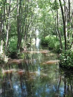 IMG_1839.JPG