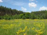 IMG_1861.JPG