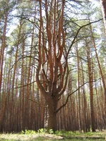 IMG_1870.JPG