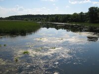 IMG_1903.JPG
