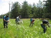 IMG_1845.JPG