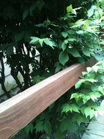2JPG.webp