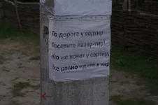 14.webp