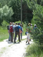 IMG_3445.jpg