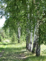 IMG_3433.jpg