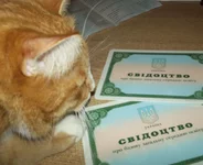 крис_.jpg