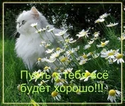 .webp