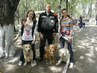 dogs2.webp