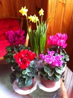 IMG_1630.webp IMG_1630.webp