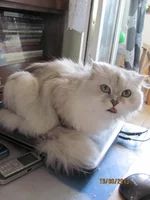 IMG_9827=.webp