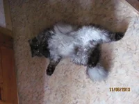IMG_9816=.webp