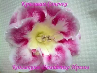 130620132777.webp