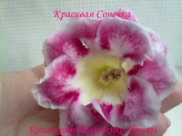 130620132783.webp