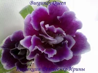 130620132791.webp