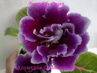 130620132796.webp