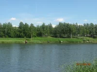 IMG_3445.webp