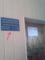 -0204 — копия.webp