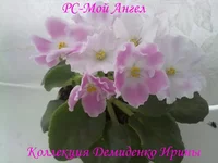 020620132697.webp