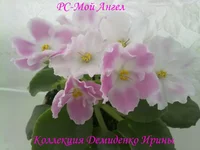 020620132699.webp