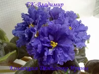 070620132747.webp