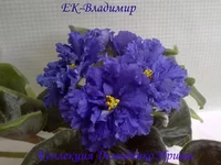 070620132748.webp