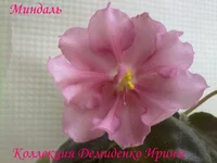 070620132753.webp