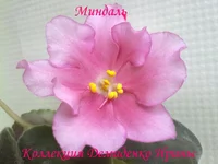 070620132754.webp