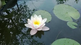 WP_20130616_132.webp