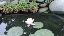WP_20130616_120.webp