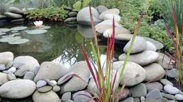 WP_20130616_116.webp