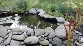 WP_20130616_084.webp